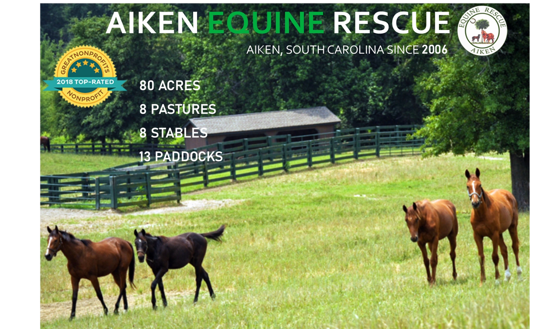 Who We Are Aiken Equine Rescue
